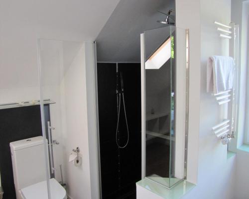a bathroom with a shower and a toilet in it at FeWo-Möwenpaar-Norden-Norddeich in Norden