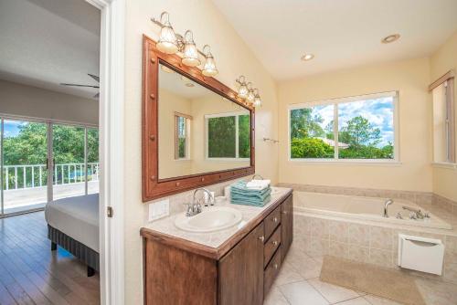 a bathroom with a sink and a tub and a mirror at SWISS 65 - Lake Denise in Clermont