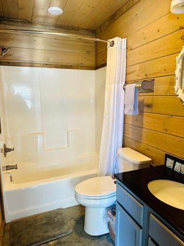 a bathroom with a toilet and a tub and a sink at Knotty Squirrel Cabins in Mountain View
