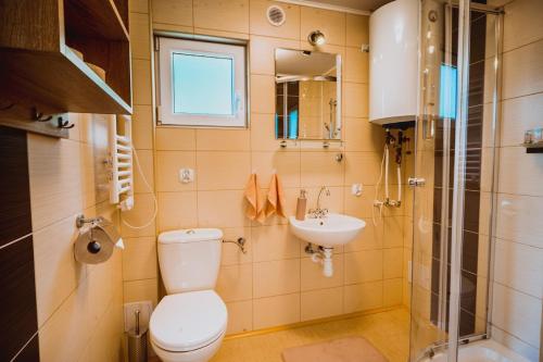 a bathroom with a toilet and a sink at Perłowe Wzgórze in Ustronie Morskie