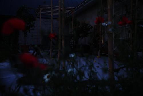 a dark room with red flowers in the dark at Hotell Persnäs in Persnäs