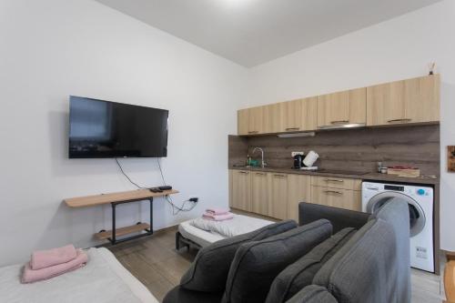 een woonkamer met een bank en een tv bij BIG PIPE apartment in Ljubljana
