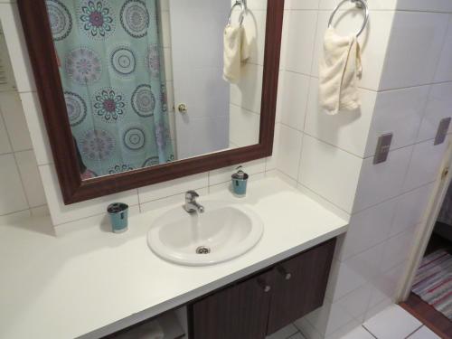 een badkamer met een wastafel en een spiegel bij Cómodo y elegante departamento in Santiago