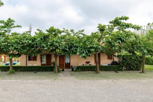 Κήπος έξω από το Villa Rosy