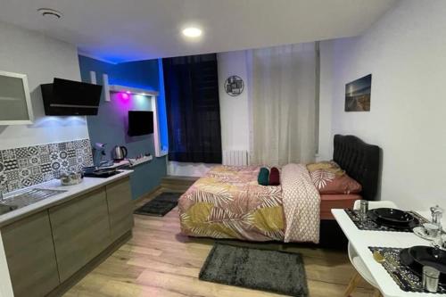 een woonkamer met een bed en een keuken bij Charmant studio de 25m², Douai in Douai