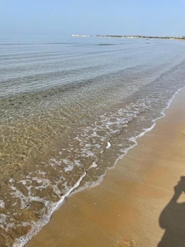 SOFT BEACH GRANELLI – Photos 3