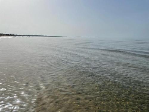 SOFT BEACH GRANELLI – Photos 5