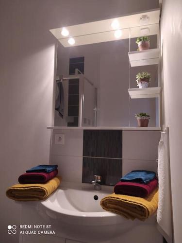 une salle de bain avec un lavabo et un miroir dans l'établissement Appartement calme, à La Montagne