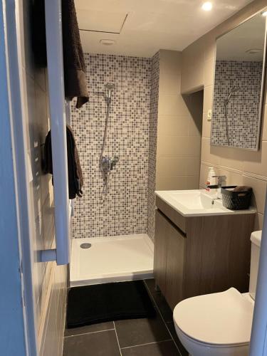 La salle de bains est pourvue d'une douche, de toilettes et d'un lavabo. dans l'établissement Agréable maison de ville à Pacy sur eure, à Pacy-sur-Eure