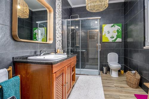 uma casa de banho com um lavatório, um chuveiro e um WC. em Casa Sofia no Carvalhal