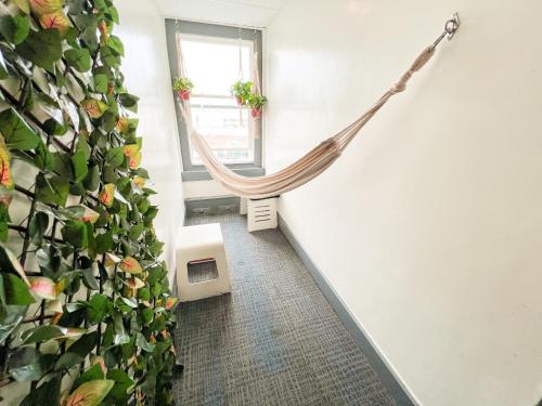 a hammock in a room with a plant at ITH Hermosa Beach Surf Hostel LAX in Hermosa Beach