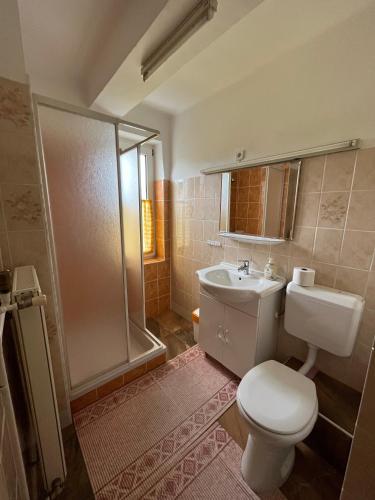 Koupelna v ubytování Karolin Apartman