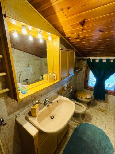 a bathroom with a sink and a toilet at Accogliente attico vista Dolomiti in Vodo Cadore