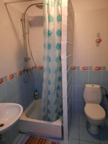 La salle de bains est pourvue d'une baignoire, de toilettes et d'un lavabo. dans l'établissement Toporzanka, 