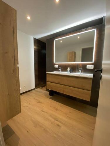 a bathroom with a sink and a large mirror at Ô’pti Cavens in Malmedy