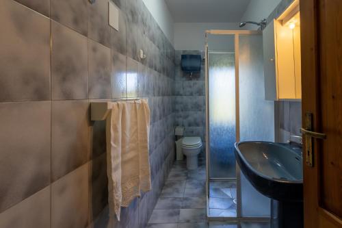 ein Bad mit einem Waschbecken und einem WC in der Unterkunft VECCHIO MOLINO GORONE in Sarteano