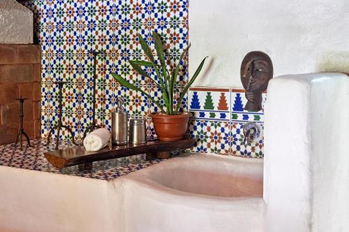 a bathroom with a sink with a potted plant at Villa Havana in Mal País