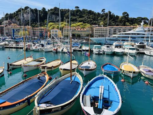 a group of boats docked in a marina with a cruise ship at John Homestay Room in Nice in Nice