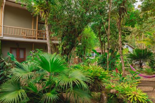 Zahrada ubytování Suites surf house itamambuca