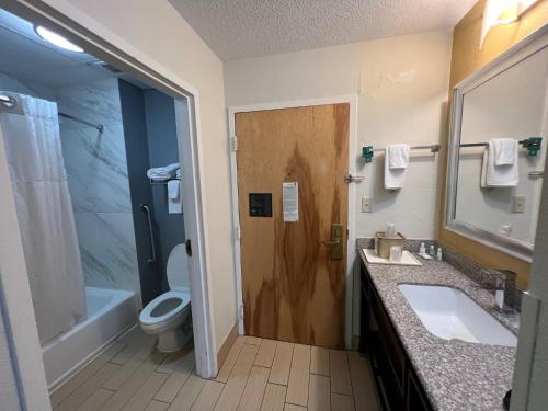 uma casa de banho com um WC, um lavatório e um chuveiro em Quality Inn Richmond Airport em Sandston