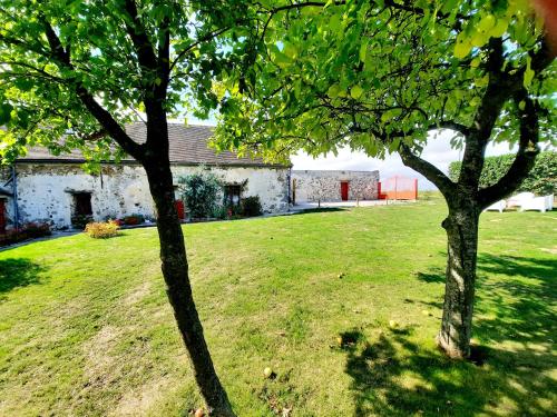 une cour avec deux arbres devant un bâtiment dans l'établissement La Ferme de la loge, à Épaux-Bézu