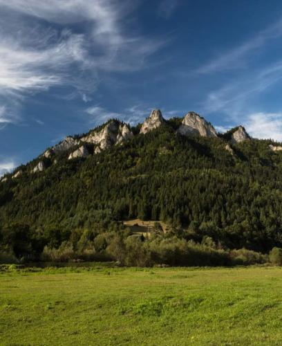a mountain with a green field in front of it at Jasna Chata Kluszkowce in Kluszkowce