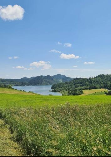 a green field with a lake in the background at Jasna Chata Kluszkowce in Kluszkowce