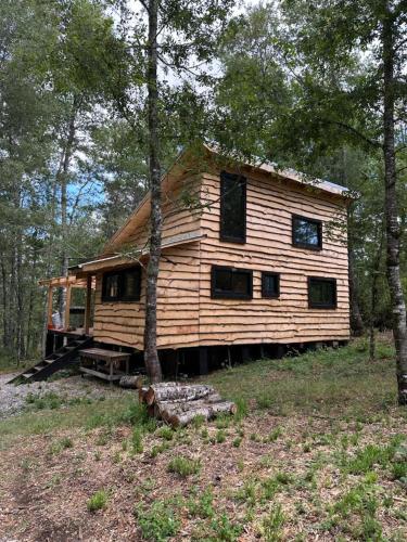 a log cabin in the middle of a forest at Cabaña Chucao, Nativo Lodge, Araucanía Andina in Curacautín