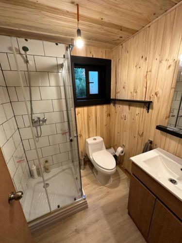 a bathroom with a toilet and a shower and a sink at Cabaña Chucao, Nativo Lodge in Curacautín