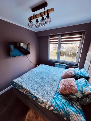 a bedroom with a bed and a tv and a window at Apartment of Love in Olecko