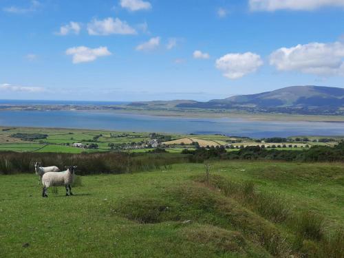two sheep standing in a field with a view of a lake at Yew Fold in Soutergate
