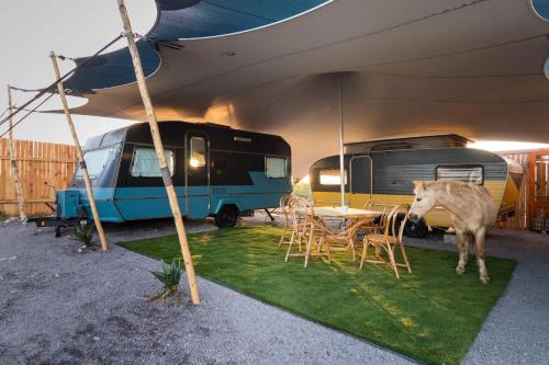 Fotografie z fotogalerie ubytování TREKOS GLAMPING v destinaci Jacobs Bay