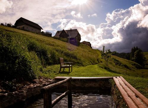 a bench sitting on top of a hill next to a pond at ThälerHäusle in Furtwangen