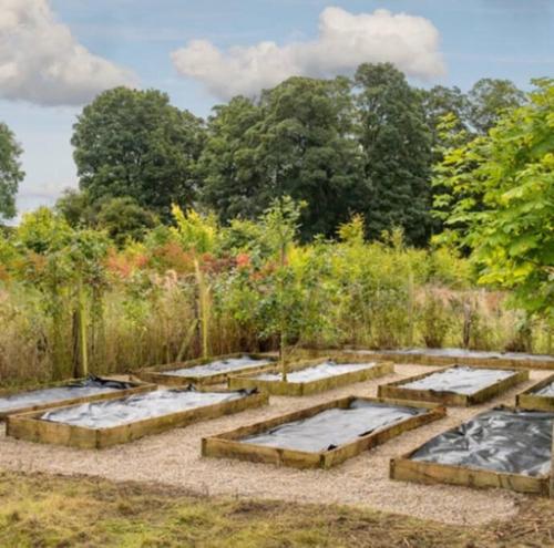 un giardino con quattro letti rialzati in un campo di Killenard Kottage, Killenard, Laois a Killenard