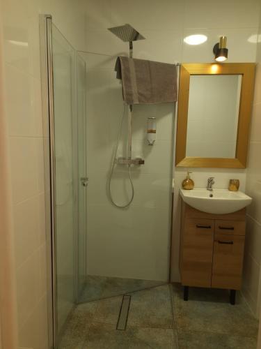 a bathroom with a shower and a sink at Family Suite Świecie in Świecie