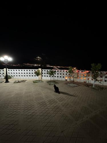a black cat sitting in a courtyard at night at Villa Carmen in Nerja