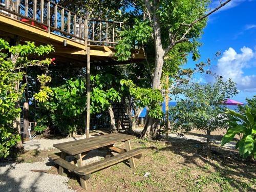 a wooden bench sitting under a tree with a deck at Jamaica Colors Hotel and Eco-Retreat in Port Antonio