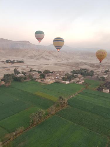 two hot air balloons flying over a green field at Villa Diletta Luxor in Luxor