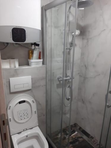 a bathroom with a toilet and a glass shower at Koca Apartmani in Novi Pazar