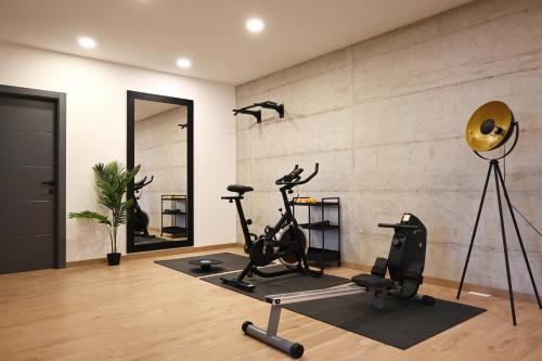 a gym with a treadmill and exercise bikes in a room at Villa TonKa with jacuzzi sauna and private pool in Labin