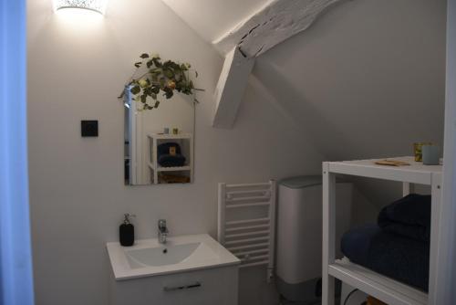La salle de bains est pourvue d'un lavabo et d'un miroir. dans l'établissement Quiétude au Bord de Loire., à Orléans