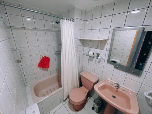 uma casa de banho com um WC cor-de-rosa e um lavatório. em Hotel Plaza Colon em Arica