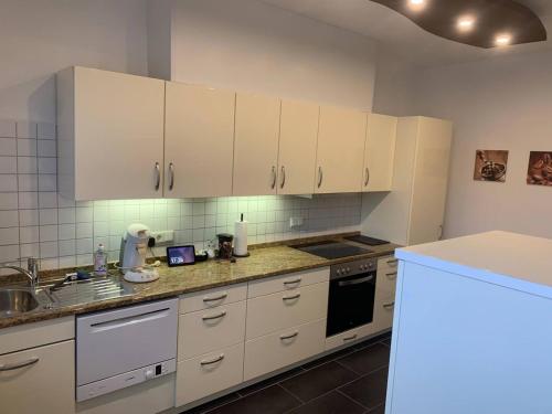 Kuchyň nebo kuchyňský kout v ubytování Mainpark Apartment 4 Schlafzimmer bis zu 10 Personen direkt über AschaffApartment bei Aschaffenburg