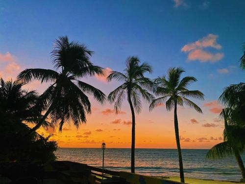 a group of palm trees on the beach at sunset at Hotel Cocoplum Beach in San Andrés