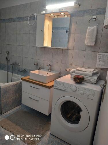 a bathroom with a washing machine and a sink at Chrysanty's tea house in Kalabaka