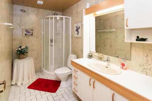 a bathroom with a shower and a toilet and a sink at Guesthouse Fludir in Fludir