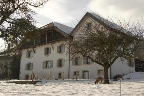 a large white building with a tree in the snow at La Ferme de la Praz - Rooms with a View in La Praz