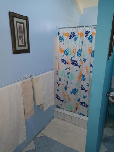 uma casa de banho com chuveiro e cortina de chuveiro em Lendal APT em Saint James