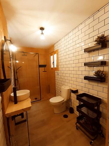 a bathroom with a toilet and a shower and a sink at APARTAMENTO AMANECER in Zahara de la Sierra