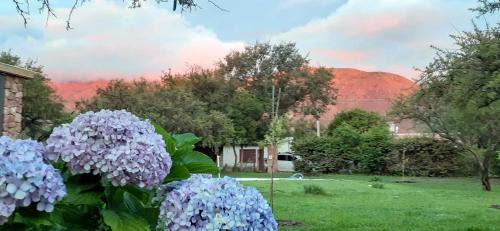 Las Guardia – Photos 5